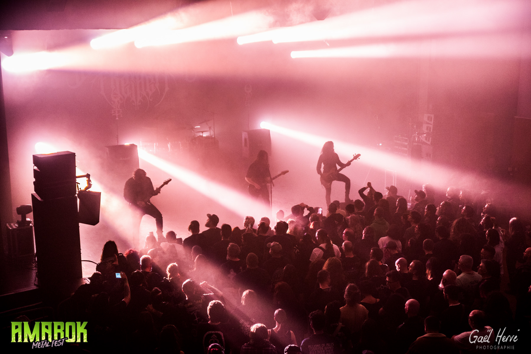 der weg einer Freihet